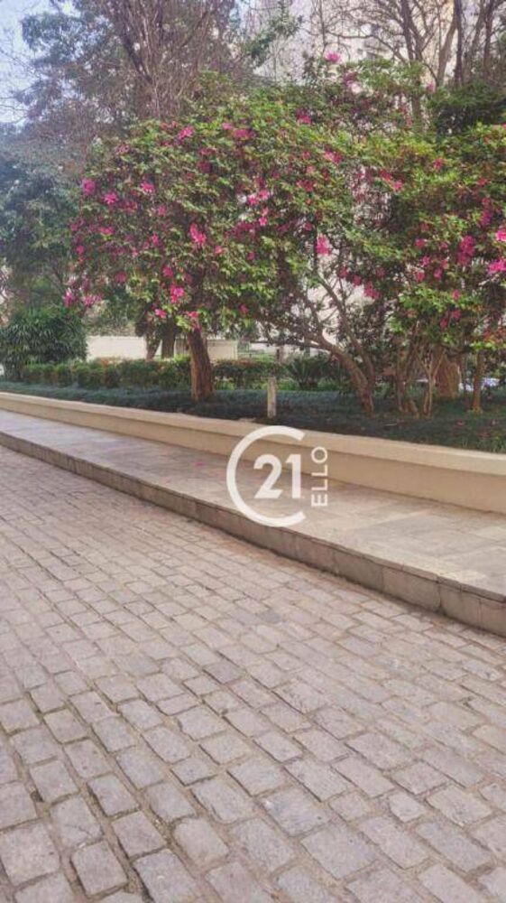 Apartamento, 3 quartos, 110 m² - Foto 9