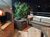 Apartamento, 3 quartos, 186 m² - Foto 6