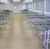 Prédio Inteiro, 2200 m² - Foto 5