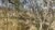 Terreno, 1000 m² - Foto 4