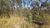 Terreno, 1000 m² - Foto 1