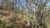Terreno, 1000 m² - Foto 3
