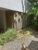 Apartamento, 2 quartos, 52 m² - Foto 14