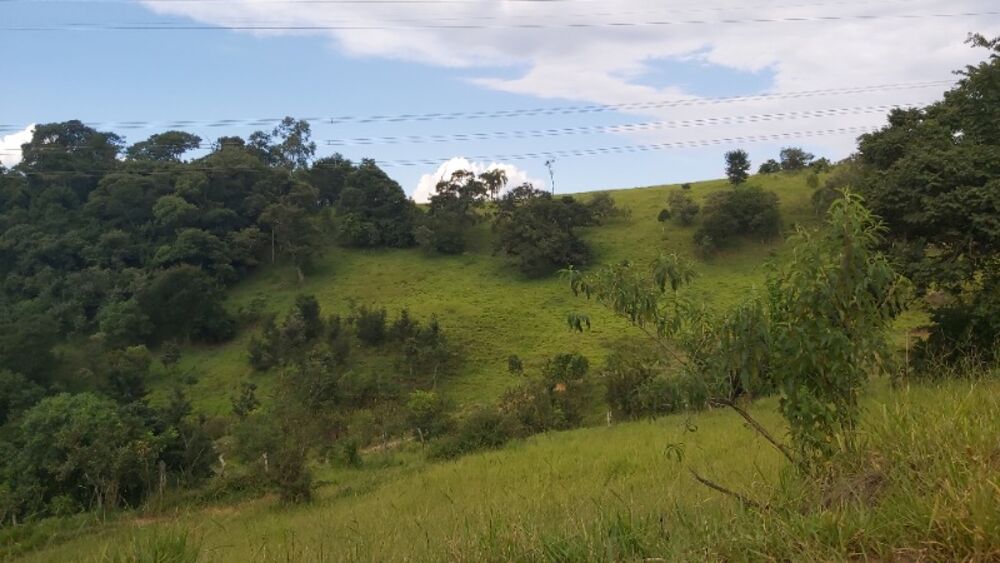 Sítio, 2 quartos, 14 hectares - Foto 2