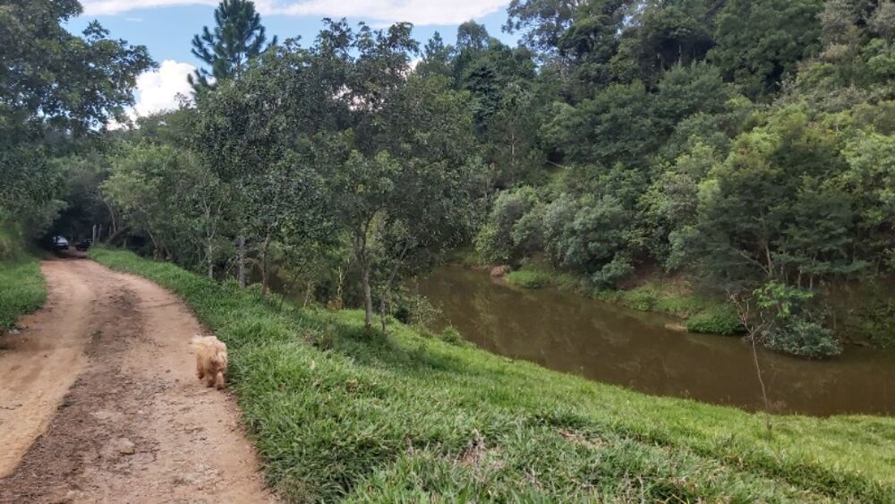 Sítio, 2 quartos, 14 hectares - Foto 14