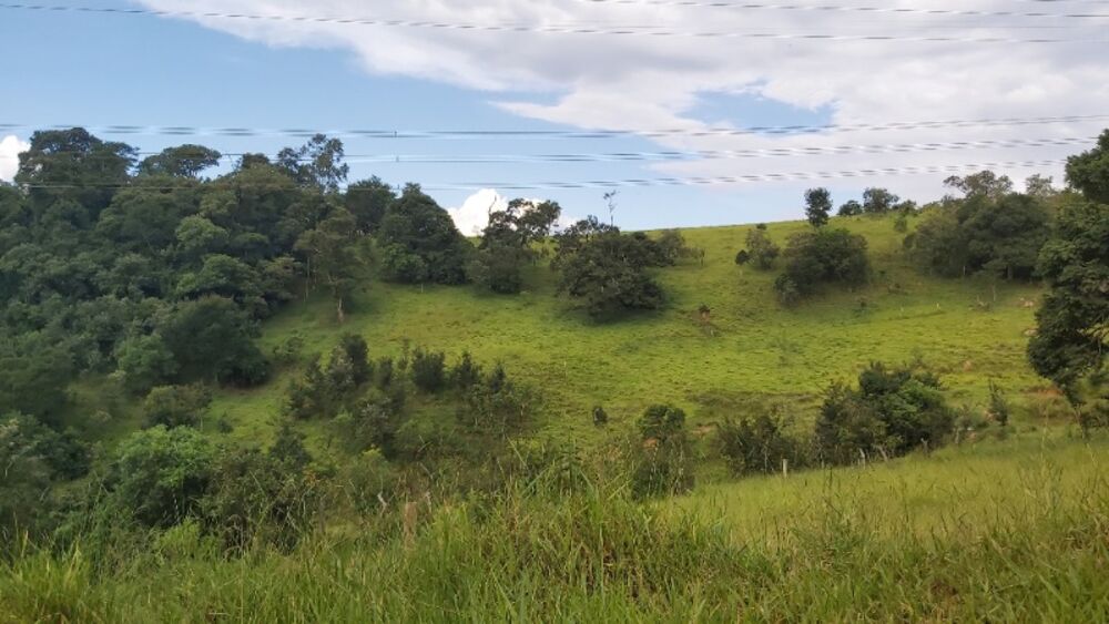 Sítio, 2 quartos, 14 hectares - Foto 1