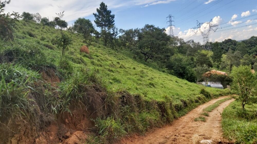 Sítio, 2 quartos, 14 hectares - Foto 13