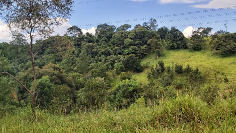 Sítio, 2 quartos, 14 hectares - Foto 3