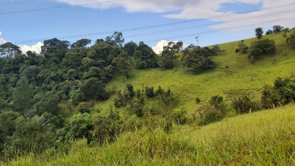 Sítio, 2 quartos, 14 hectares - Foto 9