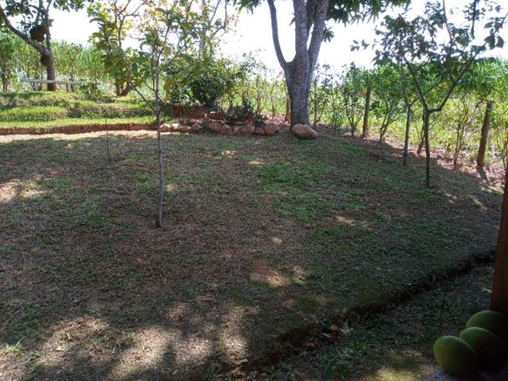 Casa à venda com 1 quarto, 60m² - Foto 4