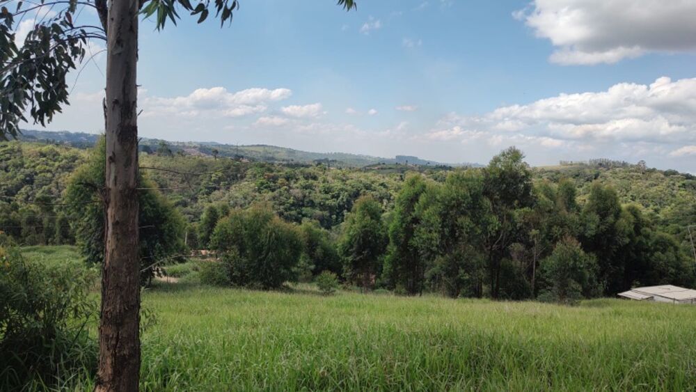 Terreno à venda, 1000m² - Foto 2