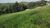 Terreno, 1000 m² - Foto 3