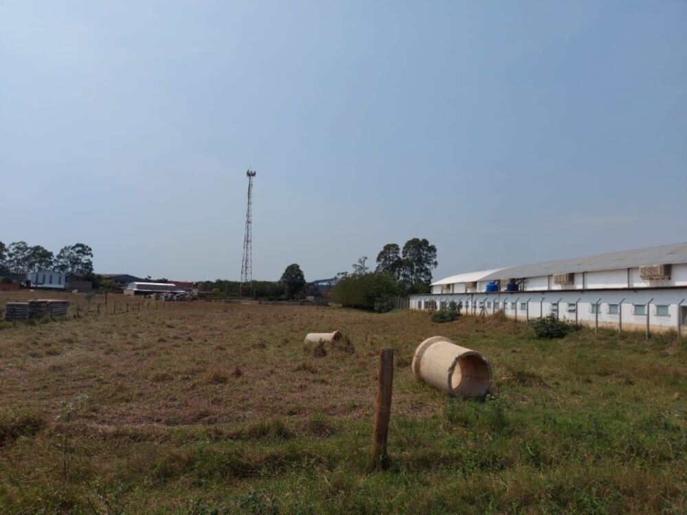 Terreno, 4982 m² - Foto 2