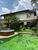 Casa, 7 quartos, 600 m² - Foto 1