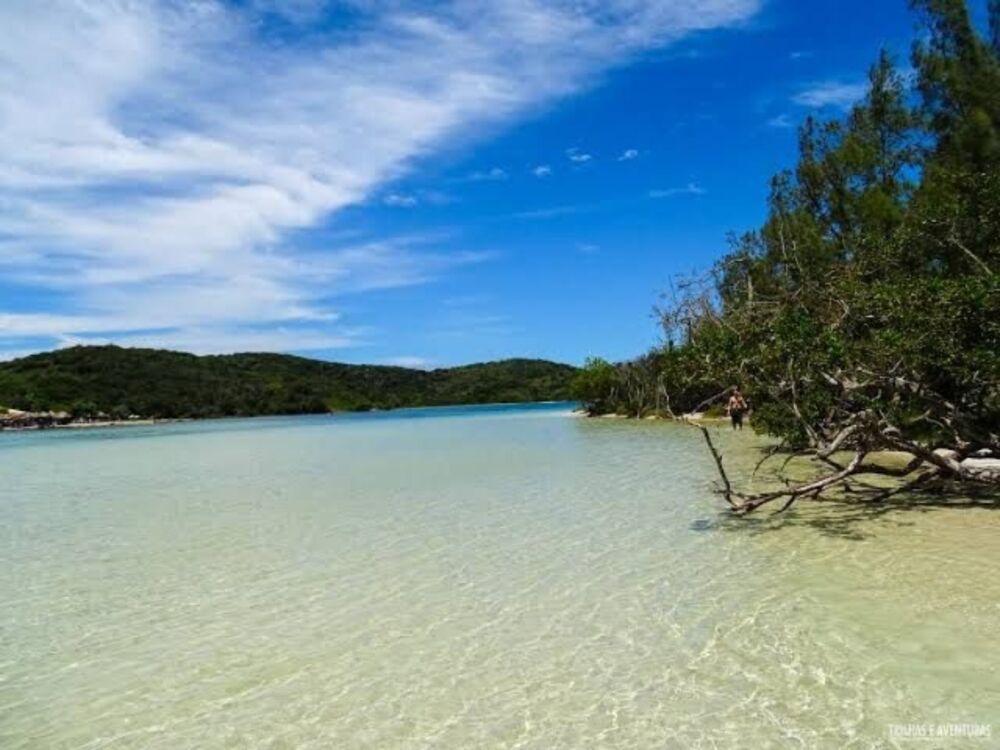 Casa, 4 quartos, 600 m² - Foto 18