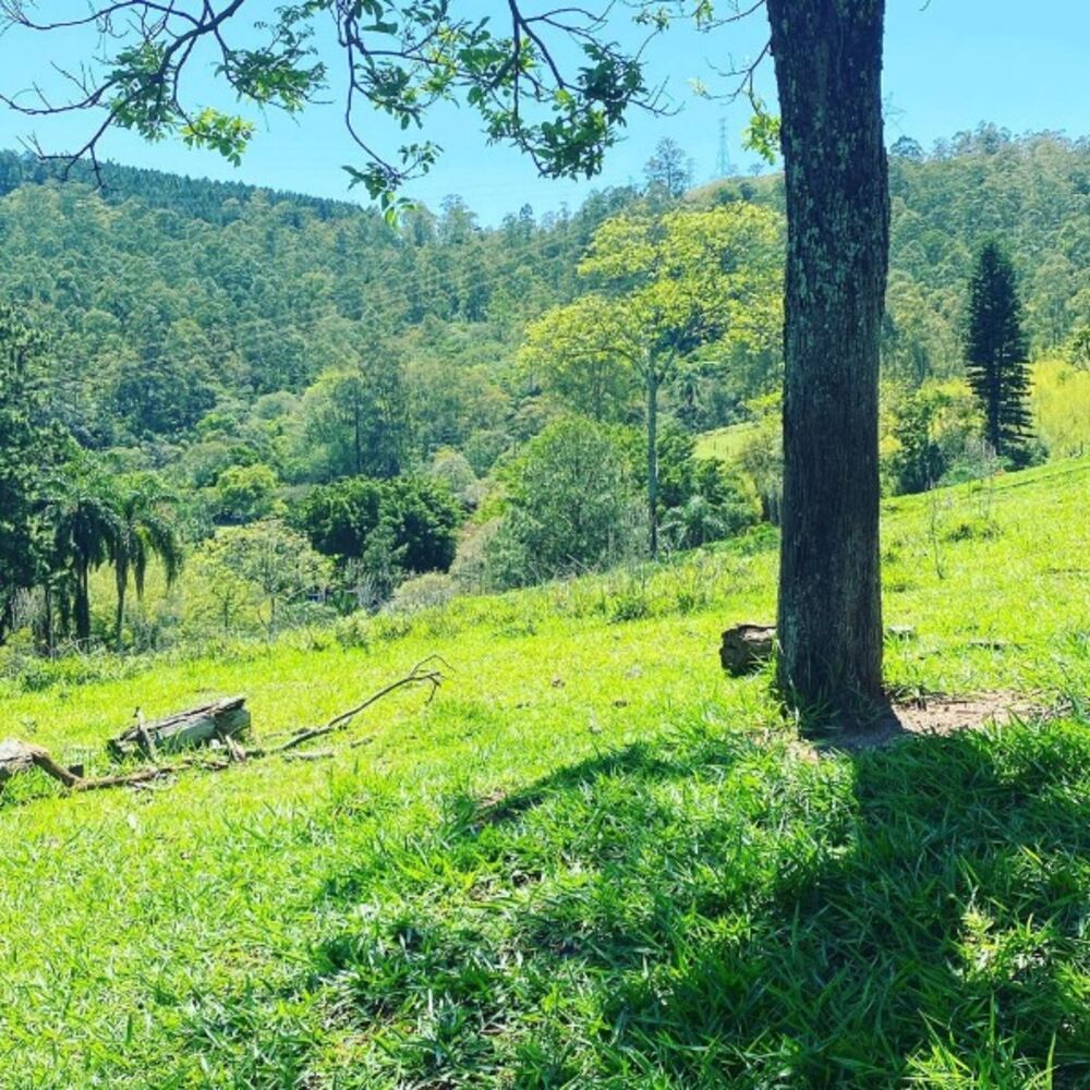 Terreno, 500 m² - Foto 19