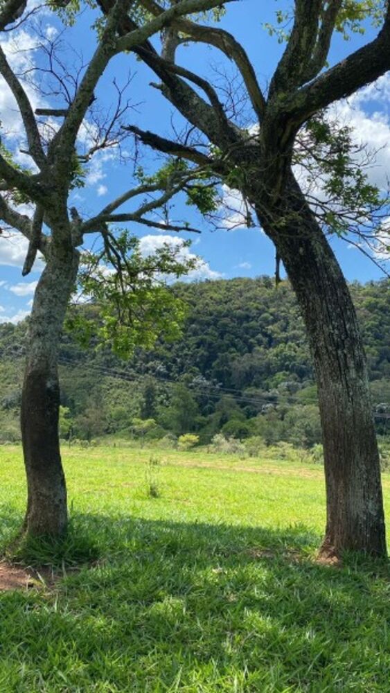 Terreno, 500 m² - Foto 11