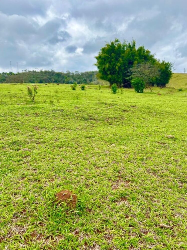 Terreno, 500 m² - Foto 6