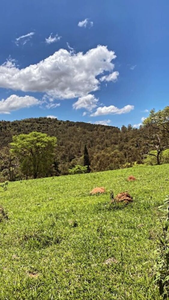 Terreno, 500 m² - Foto 14