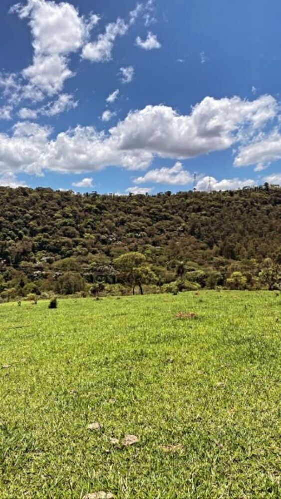 Terreno, 500 m² - Foto 12