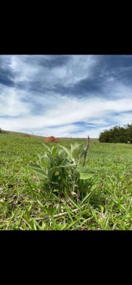 Terreno, 500 m² - Foto 17