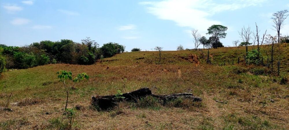 Chácara à venda com 2 quartos, 32000 - Foto 4