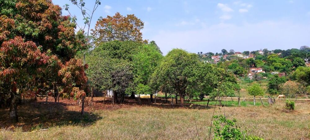 Chácara à venda com 2 quartos, 32000 - Foto 2
