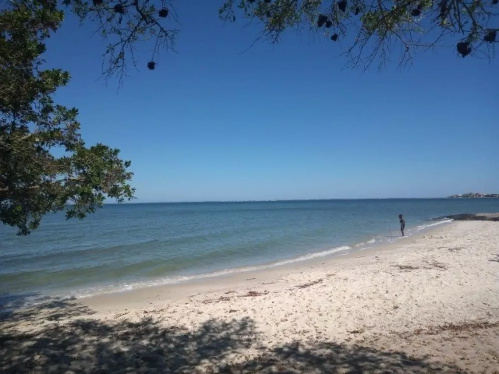 Casa, 4 quartos, 444 m² - Foto 11