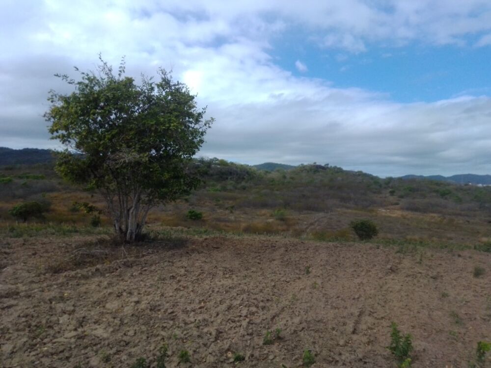 Terreno, 500000 m² - Foto 1