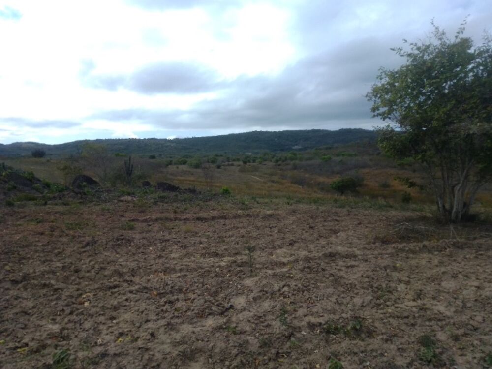 Terreno, 500000 m² - Foto 3