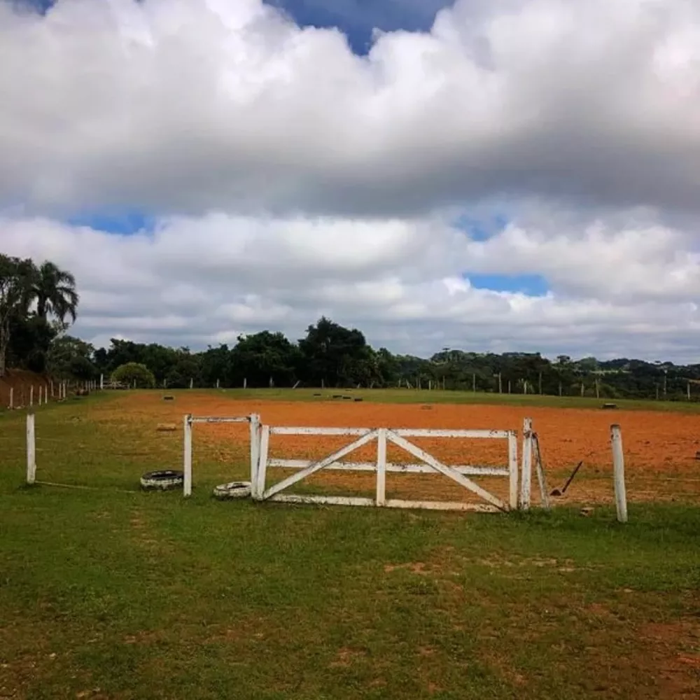 Haras e Área Rural Padrão à venda, 32387 - Foto 5