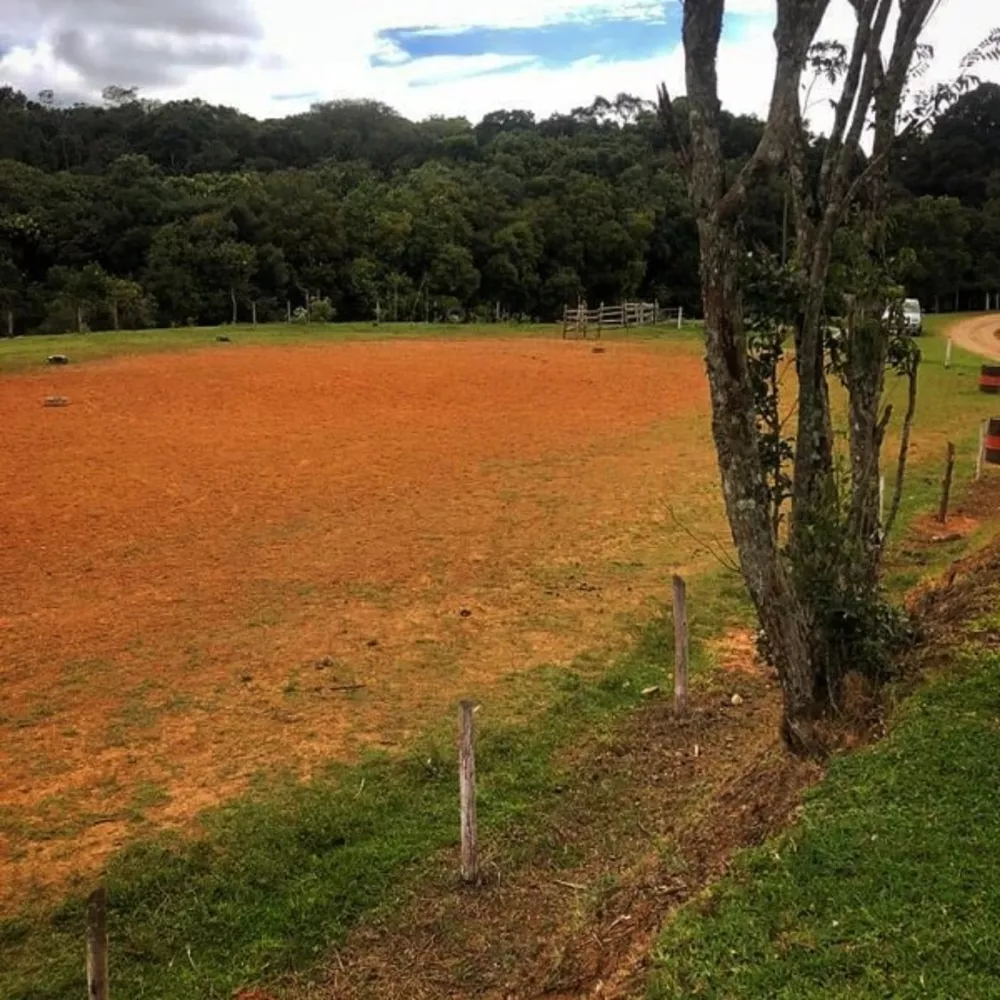 Haras e Área Rural Padrão à venda, 32387 - Foto 6