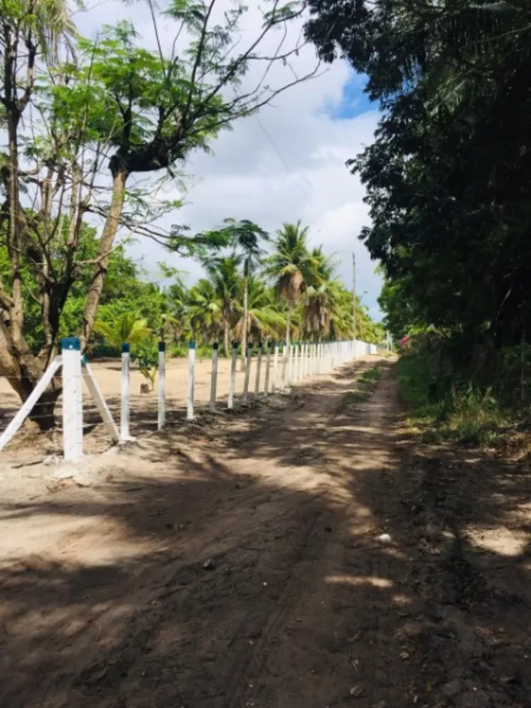 Casa à venda com 3 quartos, 140000 - Foto 12