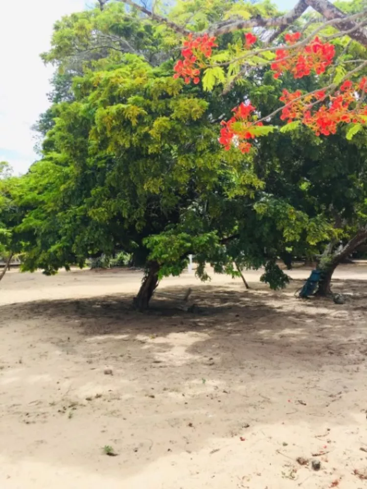 Casa à venda com 3 quartos, 140000 - Foto 11