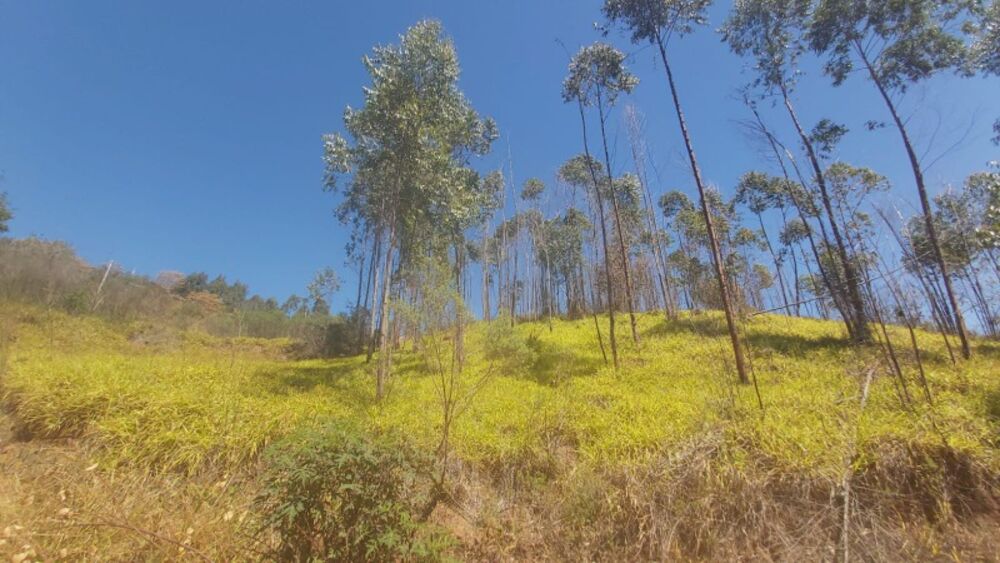 Terreno à venda, 1000m² - Foto 2