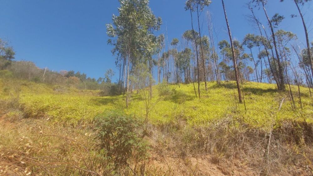 Terreno à venda, 1000m² - Foto 1