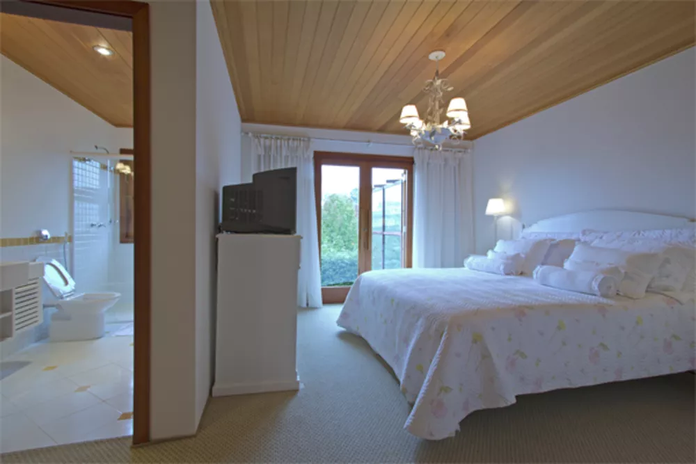 Casa, 9 quartos, 1200 m² - Foto 20