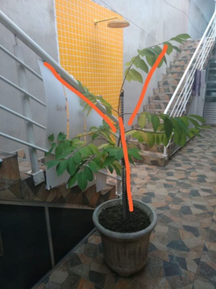 Casa à venda com 3 quartos, 200m² - Foto 4