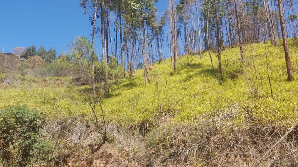 Terreno, 1000 m² - Foto 3