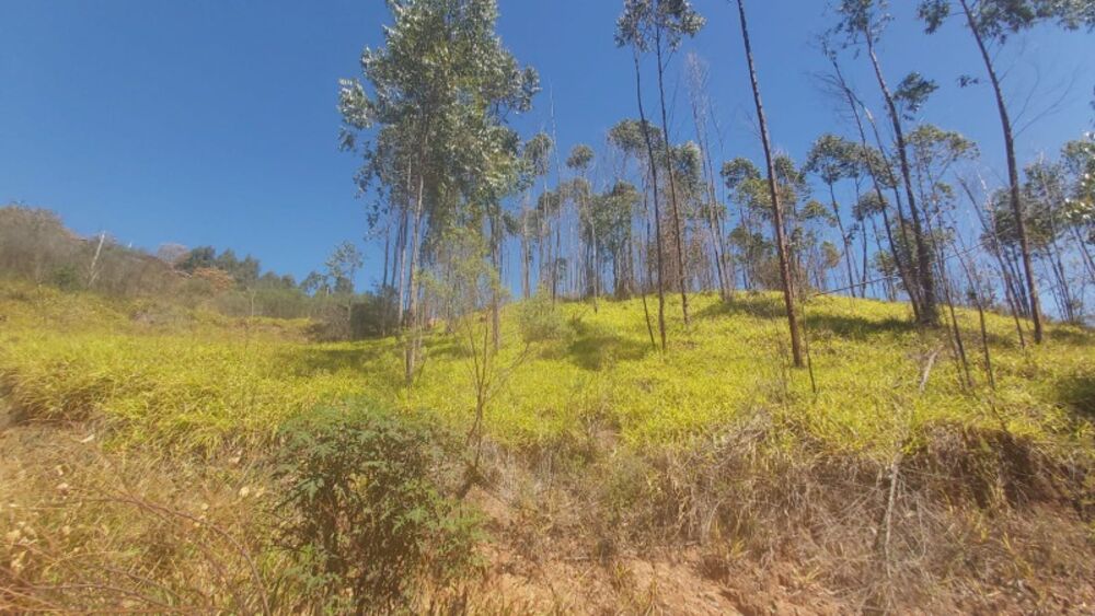 Terreno, 1000 m² - Foto 4