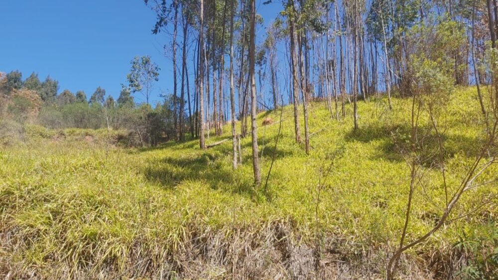 Terreno, 1000 m² - Foto 2