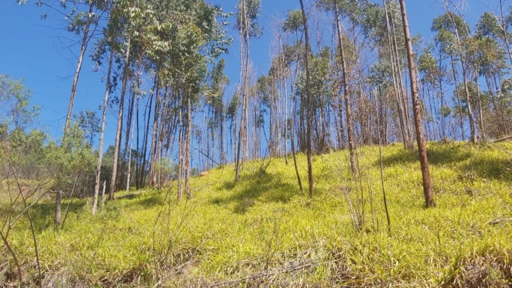 Terreno, 1000 m² - Foto 1