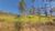 Terreno, 1000 m² - Foto 4