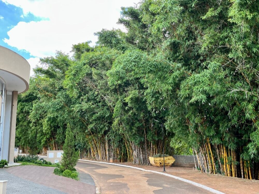 Terreno, 450 m² - Foto 1