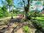 Terreno, 5089 m² - Foto 3