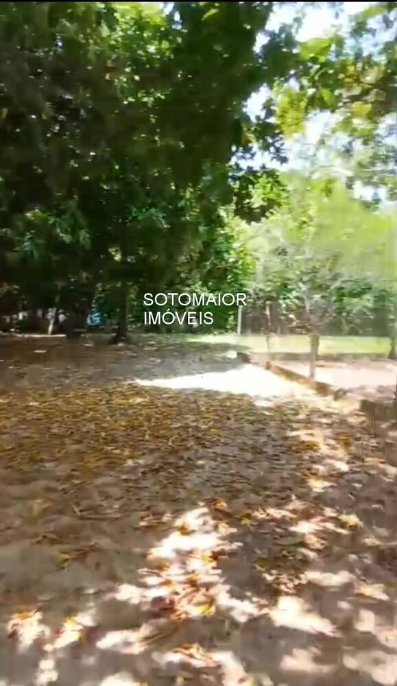 Chácara, 4 quartos - Foto 3