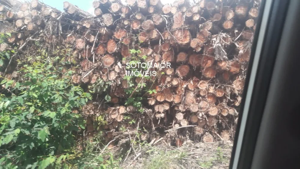 Terreno, 1 m² - Foto 12