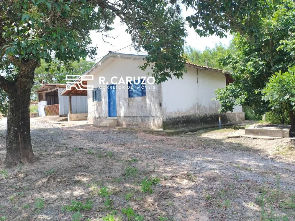 Terreno, 5 hectares - Foto 3
