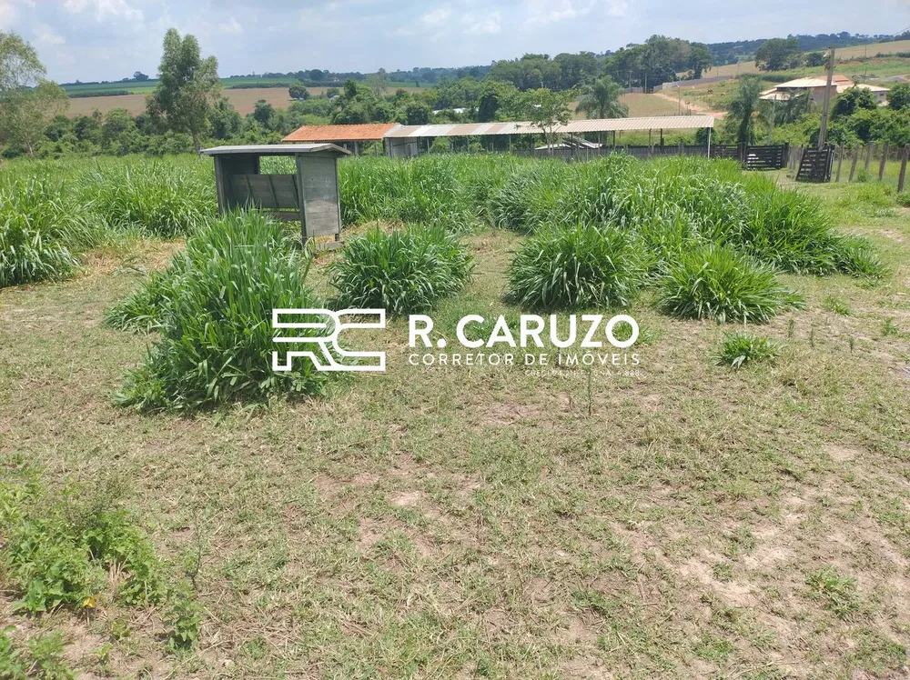 Terreno, 5 hectares - Foto 10