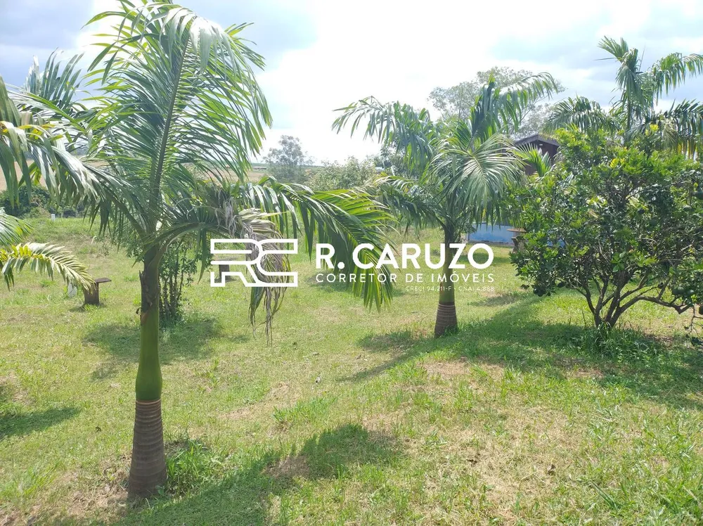Terreno, 5 hectares - Foto 6